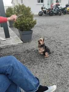 received 7947599148603725 received 7947599148603725