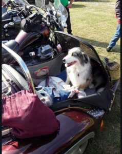 WhatsApp Image 2026 01 17 at 18.26.02