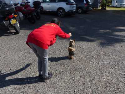 Bretagne 015.1 Bretagne 015.1