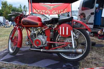 DSC 8184