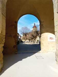 IMG 20240207 114311 401