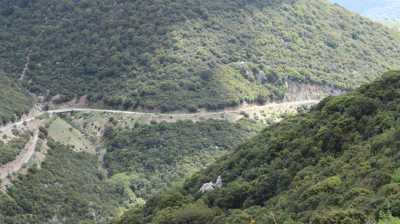 20250426110929 IMG 3578