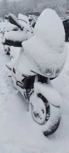 20240210 173456 20240210 173456