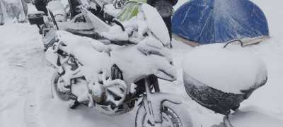 20240210 173513 20240210 173513