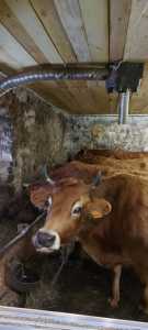 20240211 095641 20240211 095641