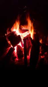 IMG 20240210 WA0031 IMG 20240210 WA0031