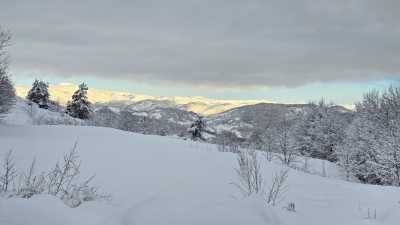 c'est beau