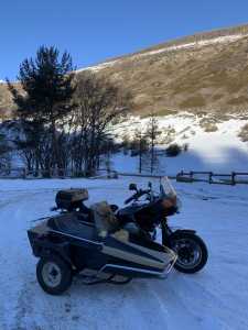 IMG 0849