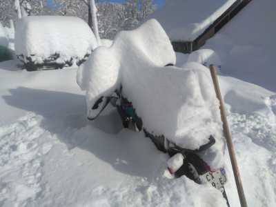 IMG 20250209 102133[1]