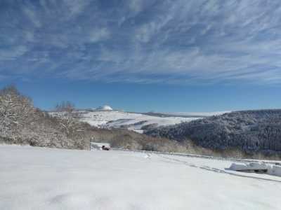 IMG 20250209 104342[1]