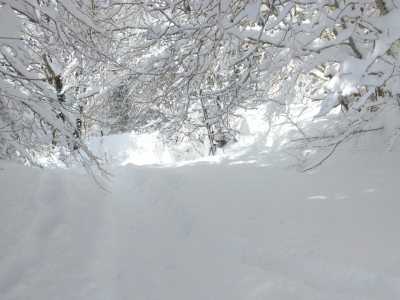 IMG 20250209 104408[1]