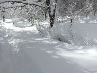 IMG 20250209 104418[1]